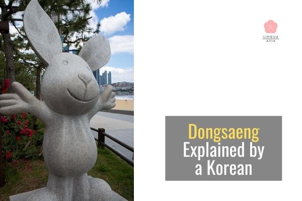 Dongsaeng Explained by a Korean