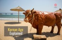 Korean Age Explained and Easy Ways to Calculate it