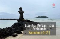 Essential Korean Titles: Samchon (삼촌) Takes Care of Business