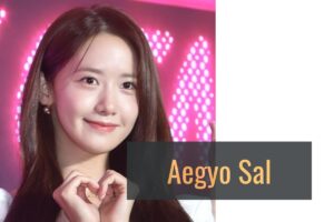 Guide to Creating Aegyo Sal
