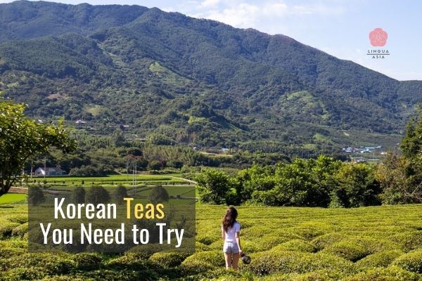 Korean Teas You Need to Try and How to Make them