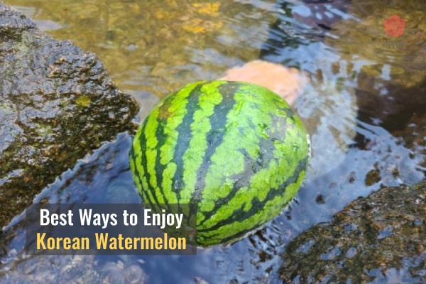 Lingua Asia Best Ways to Enjoy Korean Watermelon