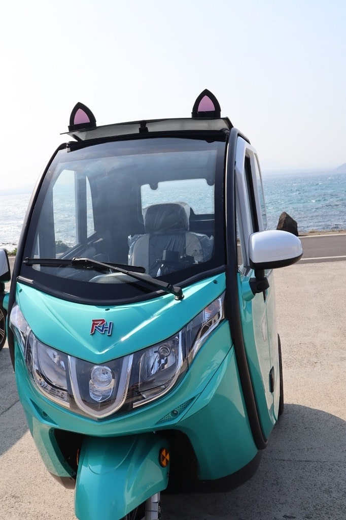 Lingua Asia Cat Electric Scooter