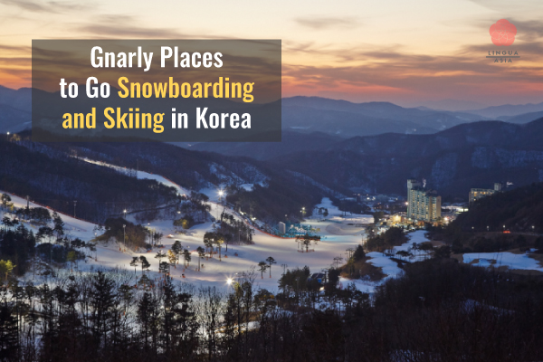 Lingua Asia Gnarly Places to Go Snowboarding and Skiing in Korea
