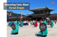 Interesting Facts About Korean Dragons to Nerd Out on