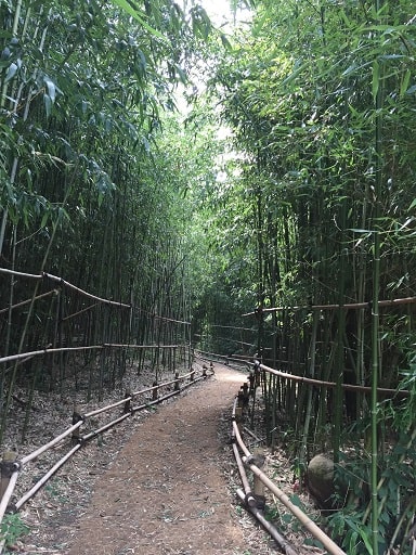 Lingua Asia Korean Bamboo