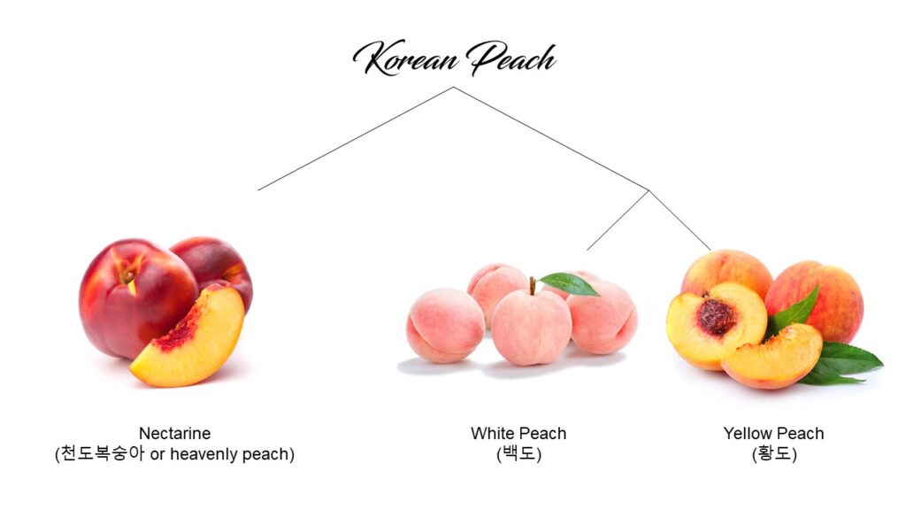 Lingua Asia Korean Peach Types