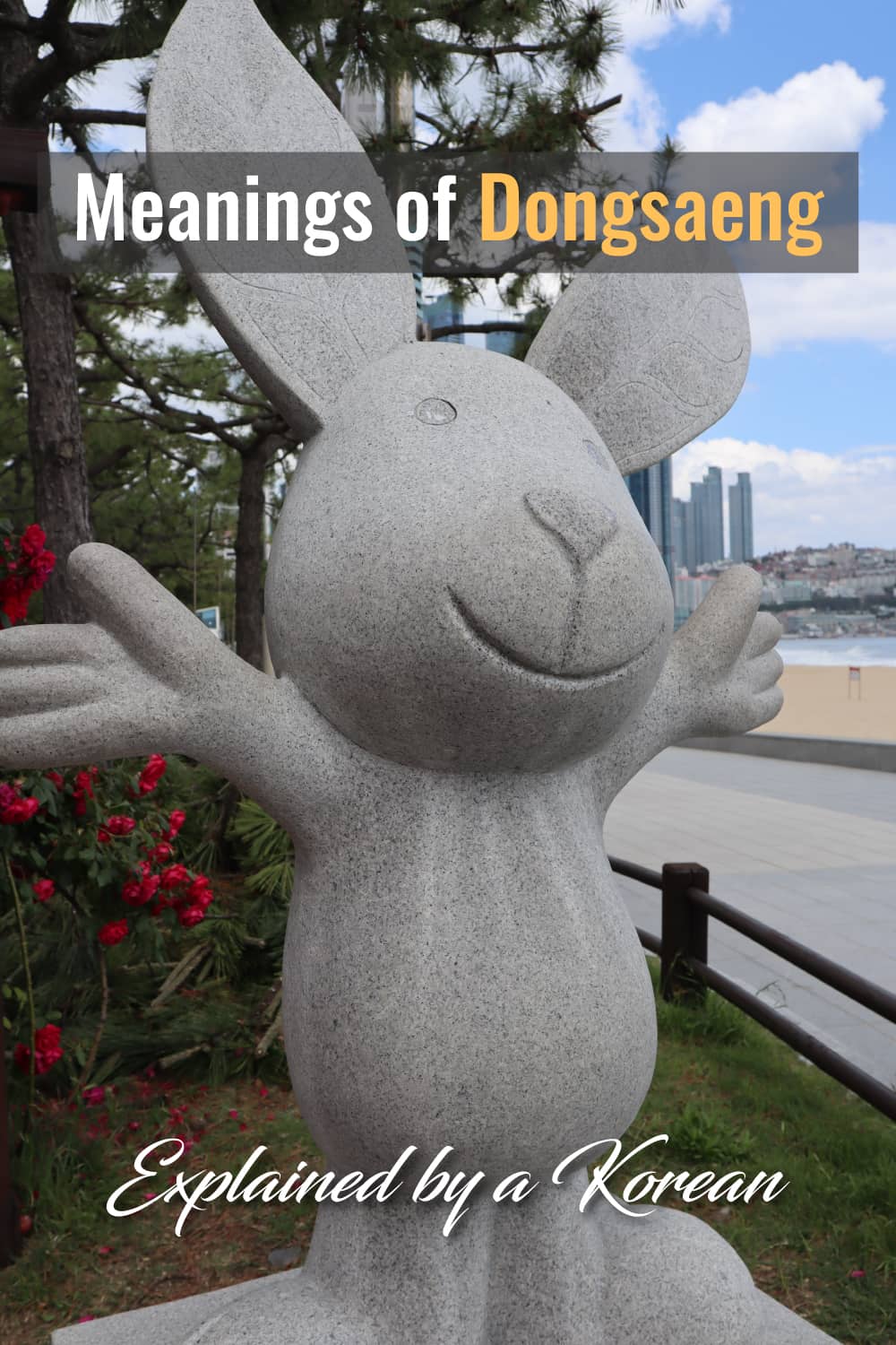 Lingua Asia Meanings of Dongsaeng and How to Use Them Right