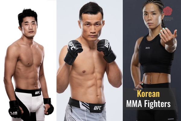 Lingua Asia The 7 Best Korean MMA Fighters