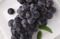 Types of Korean Grapes and How to Best Enjoy Them
