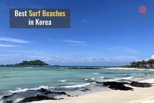 Lingua Asia_Best Surf Beaches in Korea