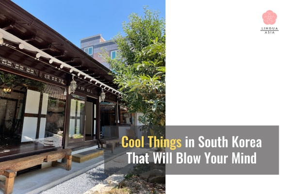 Lingua Asia_Cool Things in South Korea