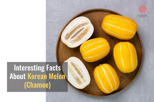 Lingua Asia_Interesting Facts About Korean Melon (Chamoe)