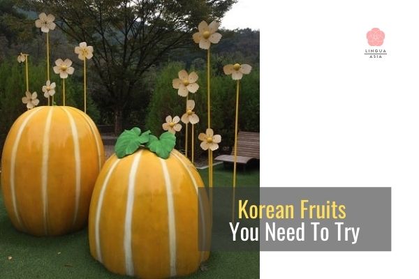 링구아아시아_꼭 먹어봐야 할 한국 과일 