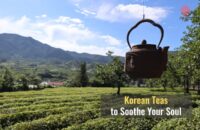 45 Korean Teas to Soothe Your Soul and Where to Buy Them in the States