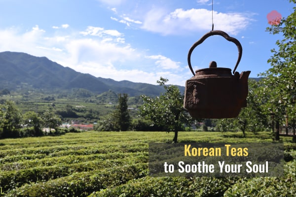 Lingua Asia_Korean Teas to Soothe Your Soul and Where to Buy Them in the States
