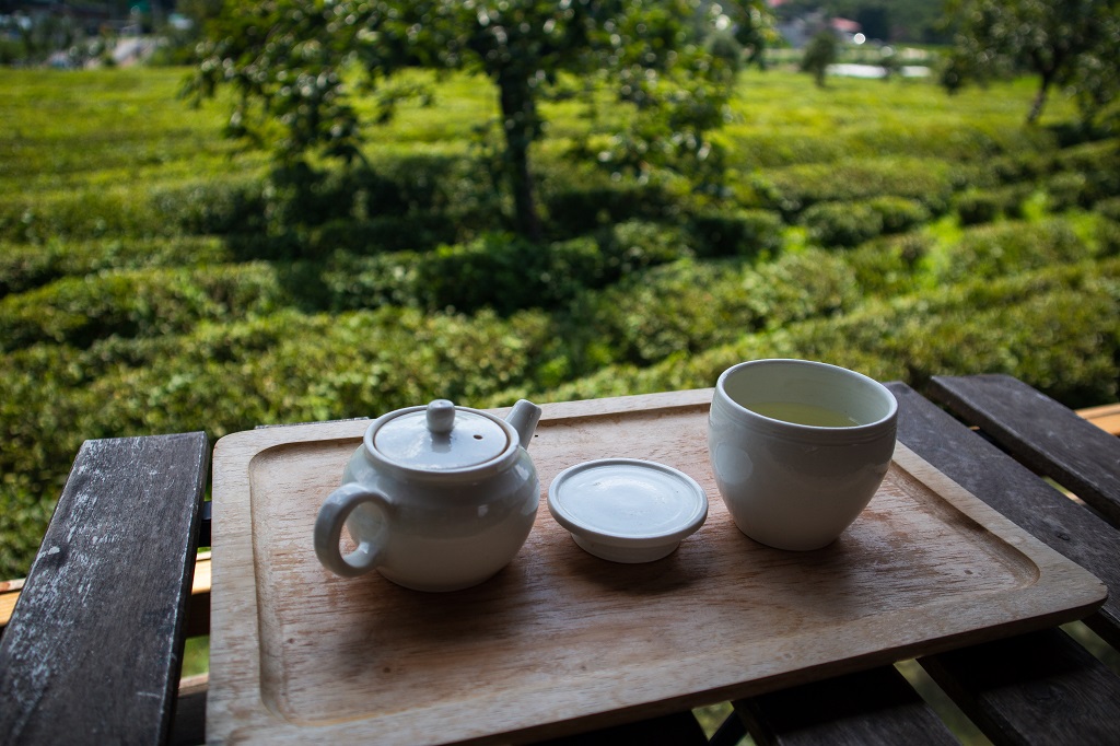 Lingua Asia_South Korea_Hadong_Maeamje Tea Garden_2021