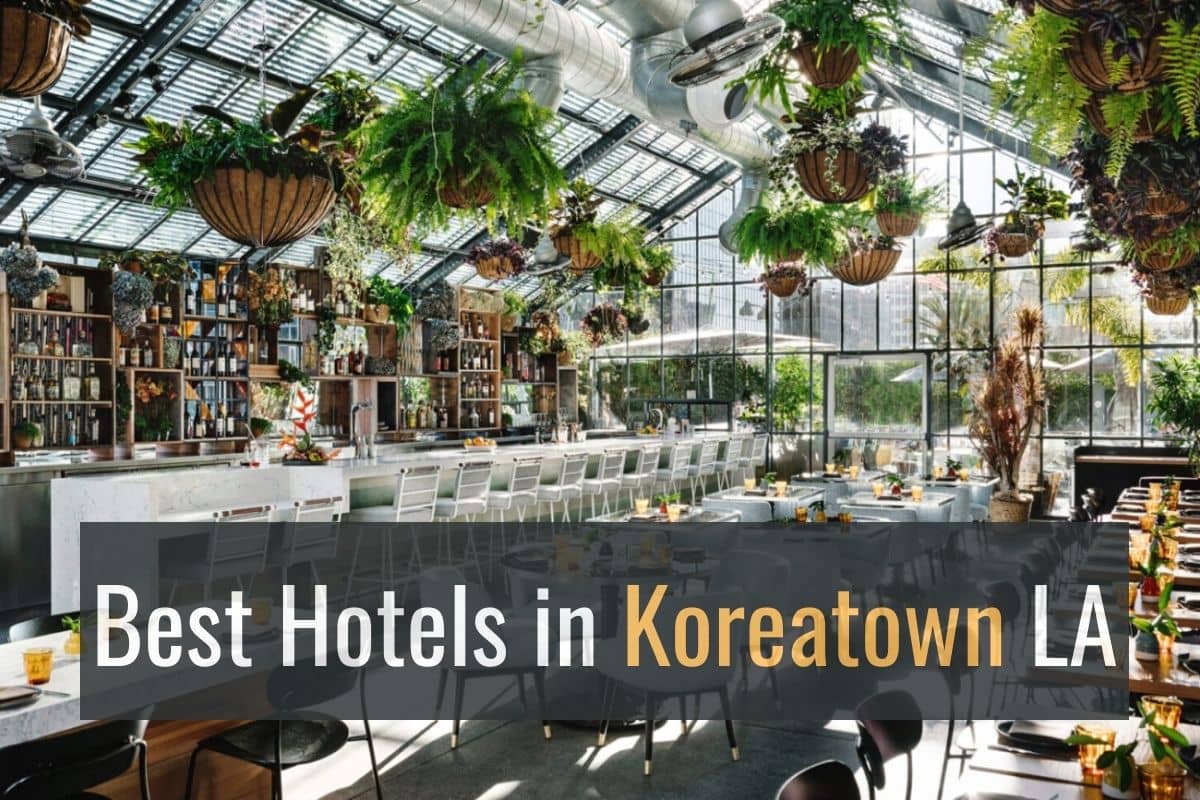 Linguasia Best Hotels in Koreatown LA