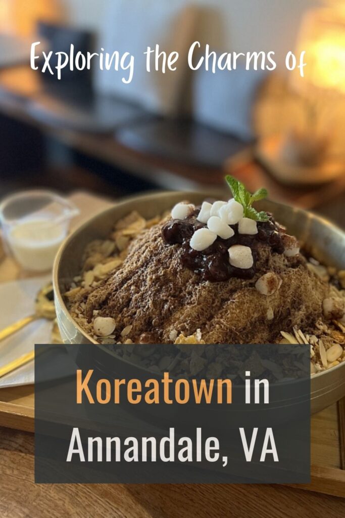 Linguasia Exploring the Charms of Koreatown in Annandale, VA