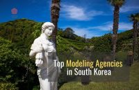 한국 최고의 모델 에이전시(외국인을 고용하는 에이전시)