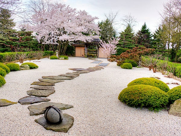 chicago botanic garden japanese rock garden and cherry blossoms