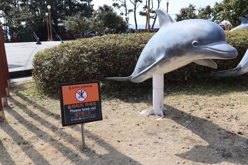 funny dolphin sign korea